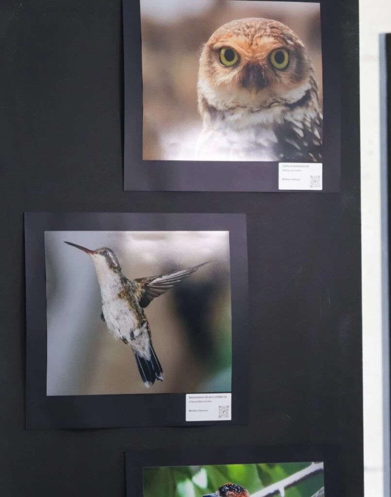 Exposição fotográfica destaca a relação entre aves e plantas no Jardim Botânico de Sorocaba