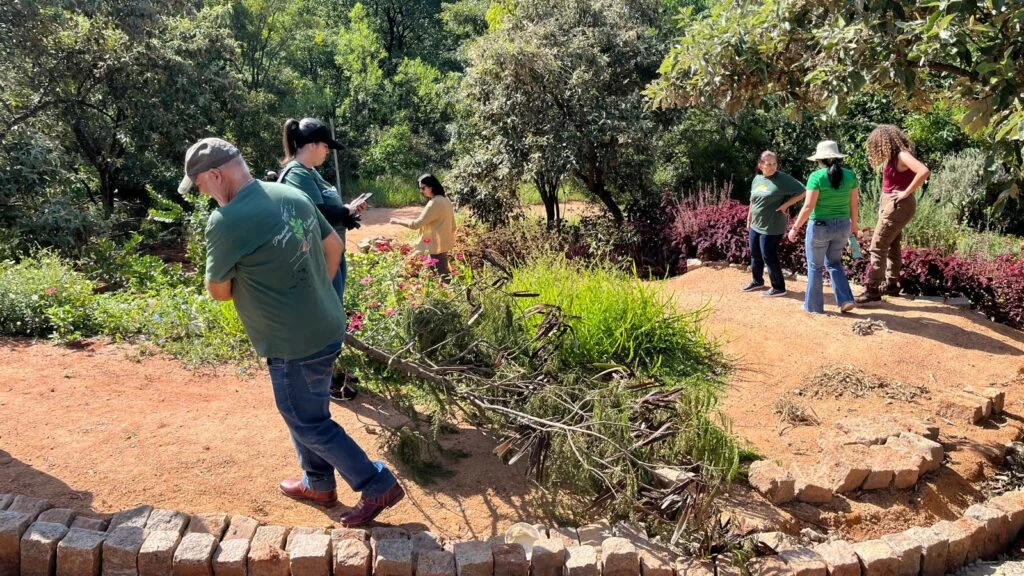 Clube de Jardinagem faz manejo de área do Jardim Botânico de Sorocaba