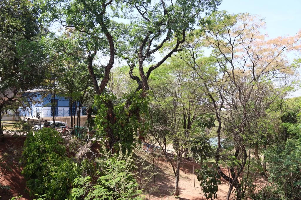 Parque Natural Ouro Fino é fechado temporariamente ao público para obras de revitalização