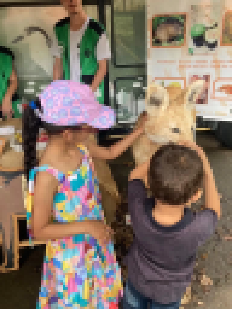 Programação especial para celebrar o Dia do Lobo-guará no Zoológico Municipal de Sorocaba atrai mais de 1.300 pessoas