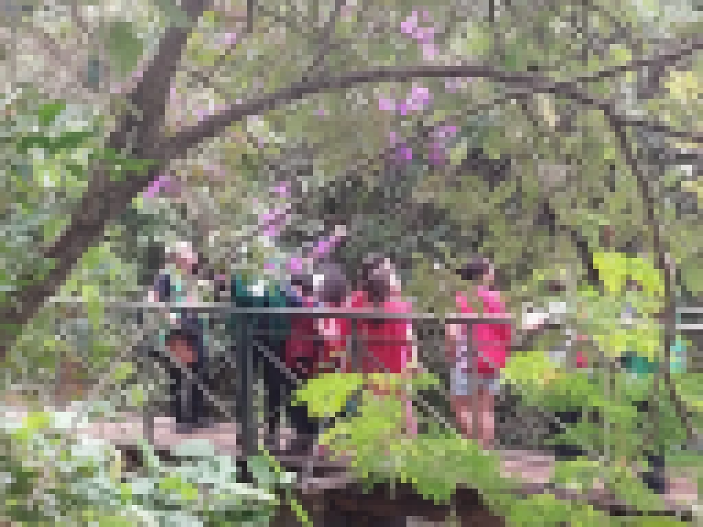 Zoo de Sorocaba e Jardim Botânico oferecem curso gratuito de férias de 15 a 18 de julho