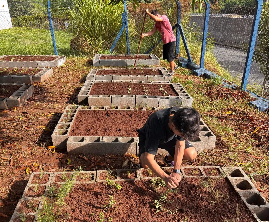Projeto de cultivo de horta é aplicado em escola da rede municipal em parceria com o Centro Universitário Facens
