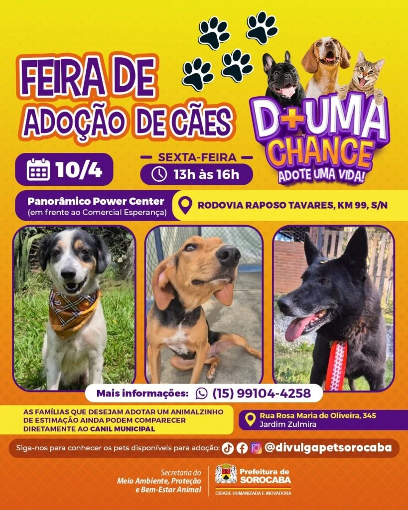 Panorâmico Power Center recebe a feira de adoção de cães do Canil Municipal de Sorocaba nesta sexta-feira (10)