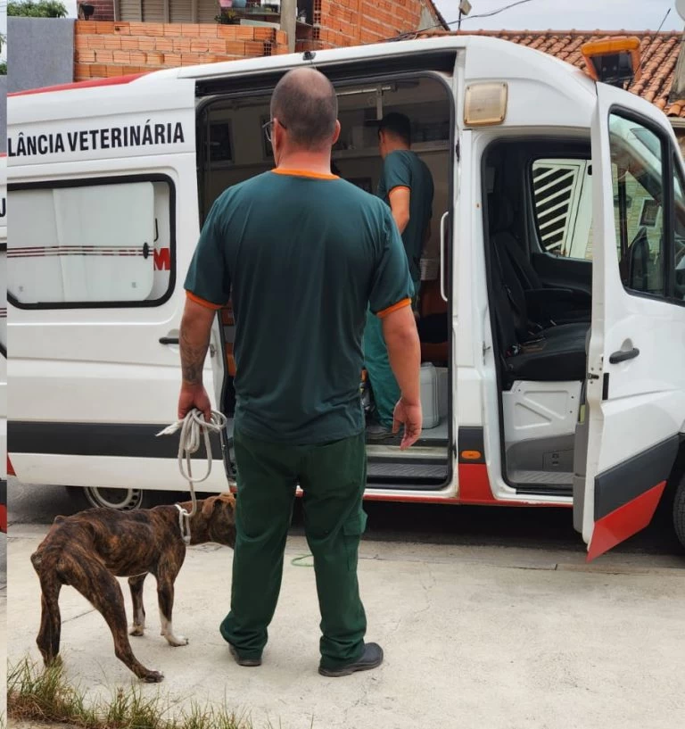 GCM detém tutor de cães por maus-tratos no Retiro São João