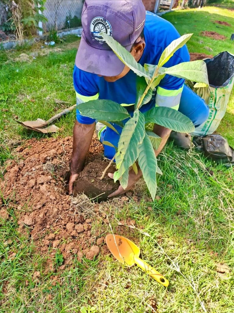 Saae Sorocaba realiza plantio de 30 árvores nativas na ETA Vitória Régia