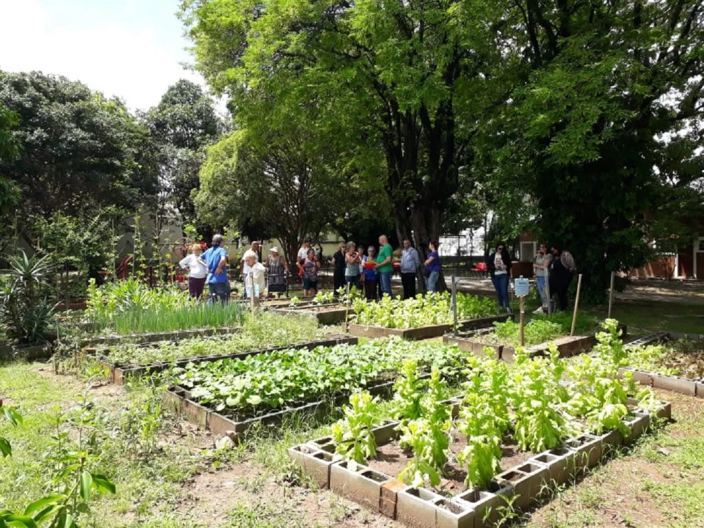 Frequentadores da Chácara do Idoso realizam primeira colheita da horta comunitária cultivada no local