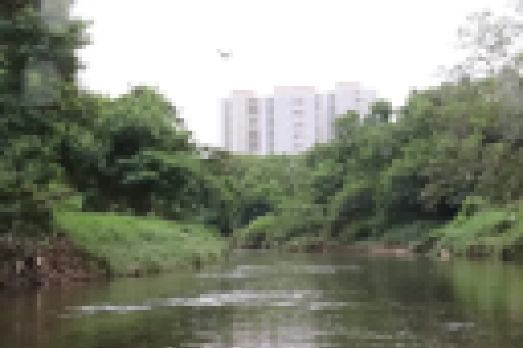 Prefeitura de Sorocaba instala estruturas com bancos e deque para a prática da pesca esportiva em trecho do Rio Sorocaba