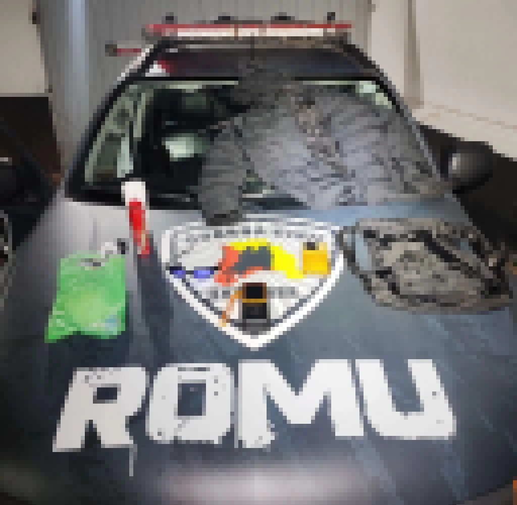 Smart Sampa Sorocaba flagra roubo no Centro e GCM detém acusados