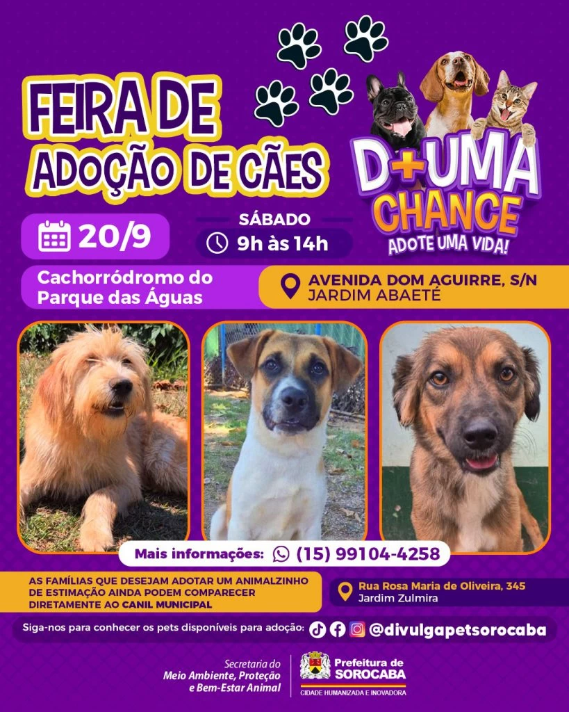 Feira de adoção de cães do Canil Municipal ocorrerá no Parque das Águas neste sábado (20)
