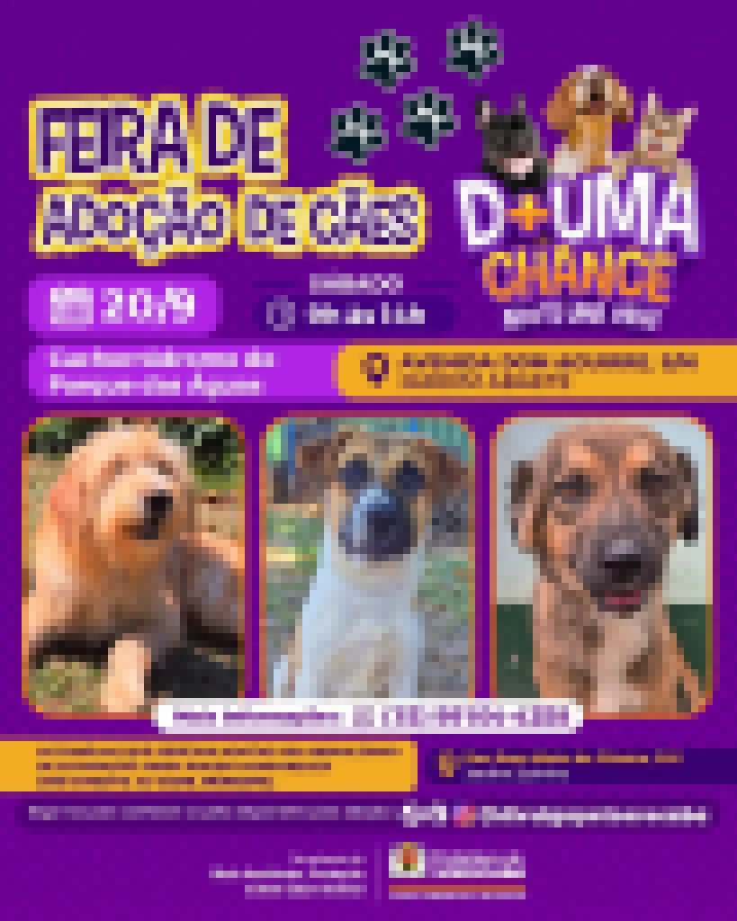 Feira de adoção de cães do Canil Municipal ocorrerá no Parque das Águas neste sábado (20)