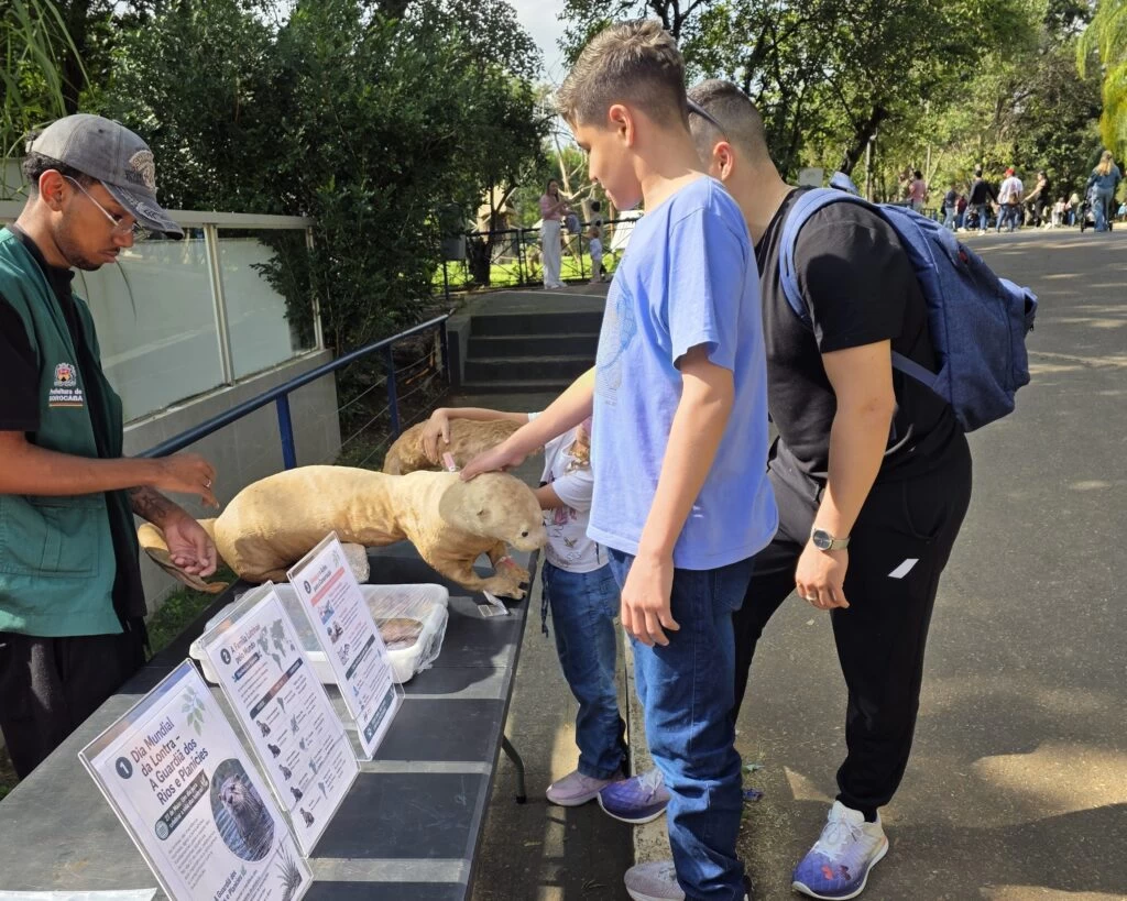 Dia Mundial da Lontra é celebrado com ação no Zoo de Sorocaba