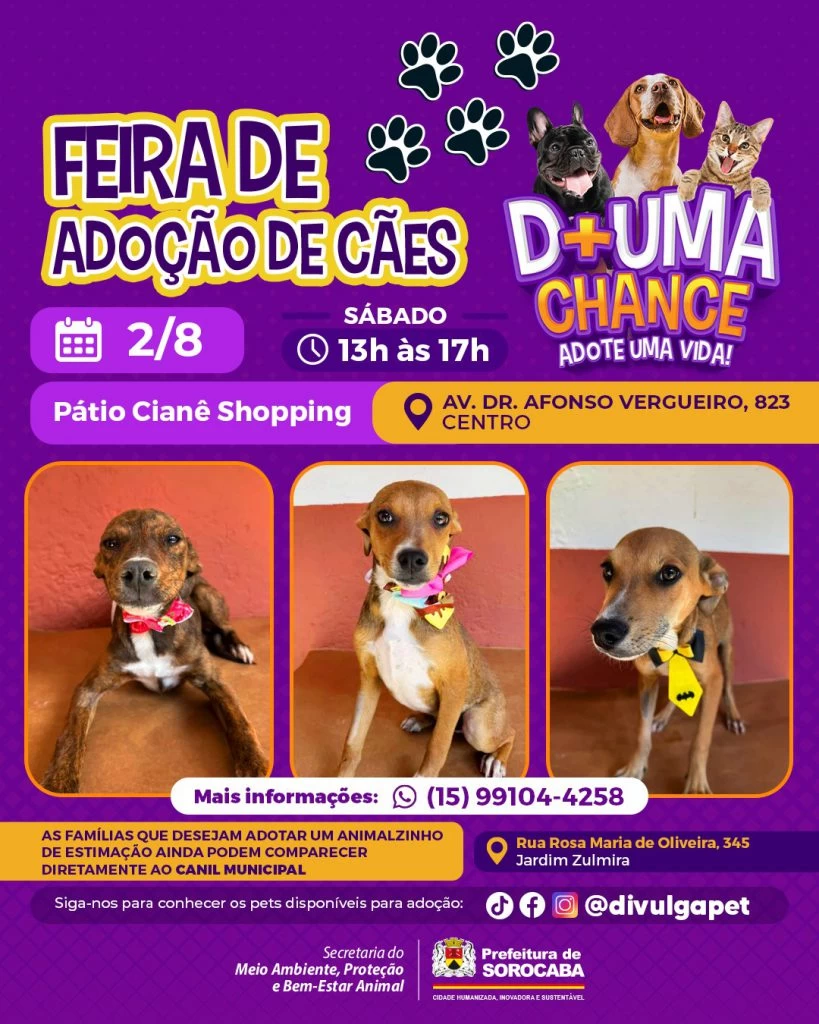 Feira de adoção de cães do Canil Municipal ocorrerá no Pátio Cianê Shopping neste sábado (2)