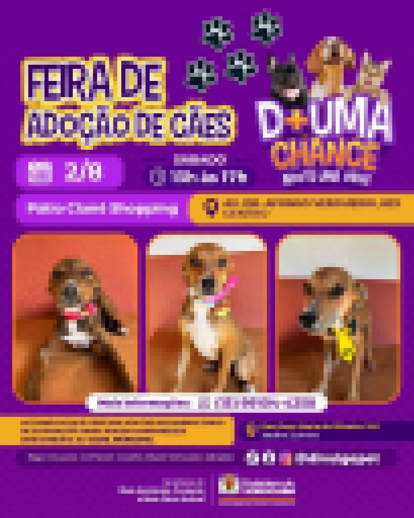 Feira de adoção de cães do Canil Municipal ocorrerá no Pátio Cianê Shopping neste sábado (2)