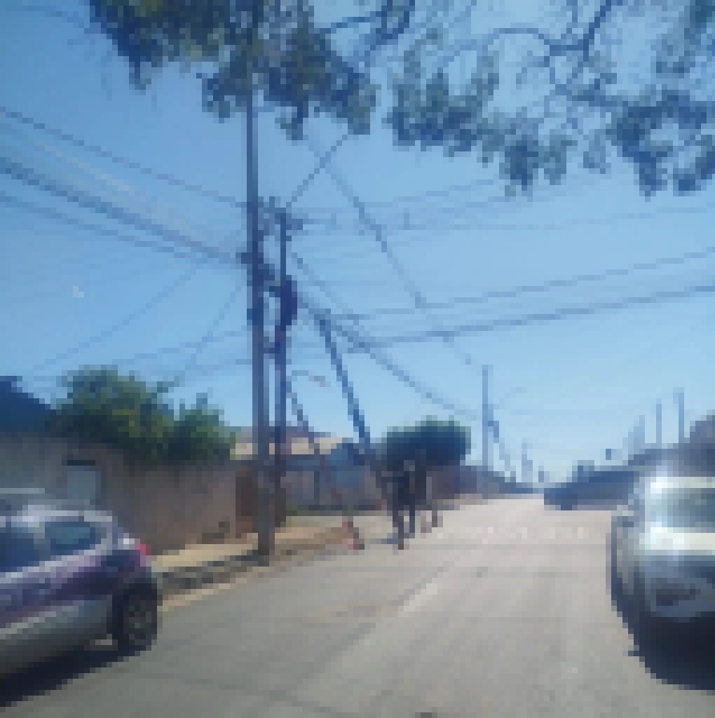 Mutirão de reordenação de fios em postes é realizado na Vila Elza nesta quinta-feira (14)