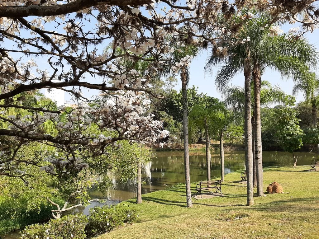 Escolas de Sorocaba podem agendar visita monitorada gratuita no Parque da Água Vermelha