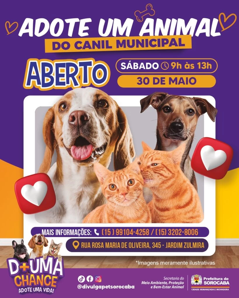 Canil Municipal de Sorocaba é aberto para adoção responsável de cães e gatos neste sábado (30)