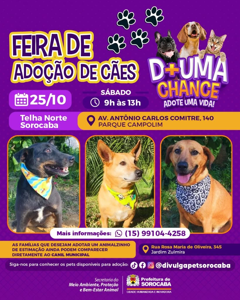 Prefeitura de Sorocaba promove dia de adoção de cães no Parque Campolim neste sábado (25)
