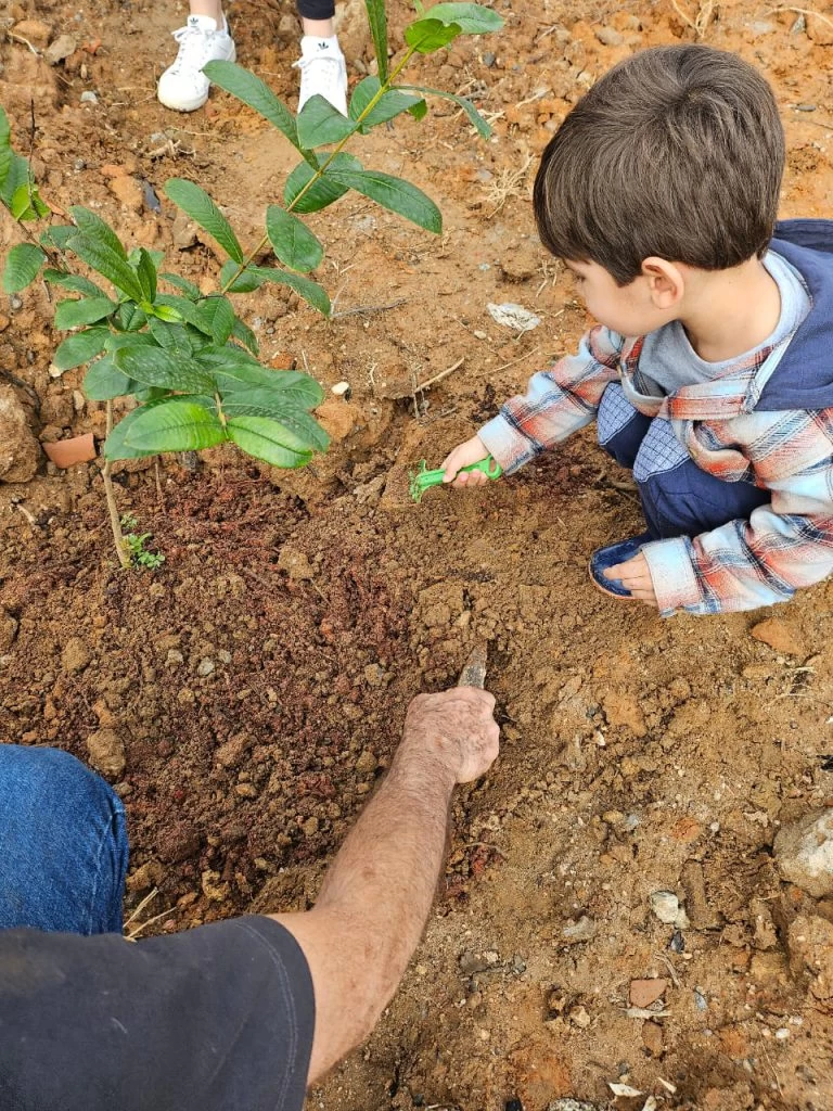 1 mil mudas de árvores nativas serão plantadas no Éden