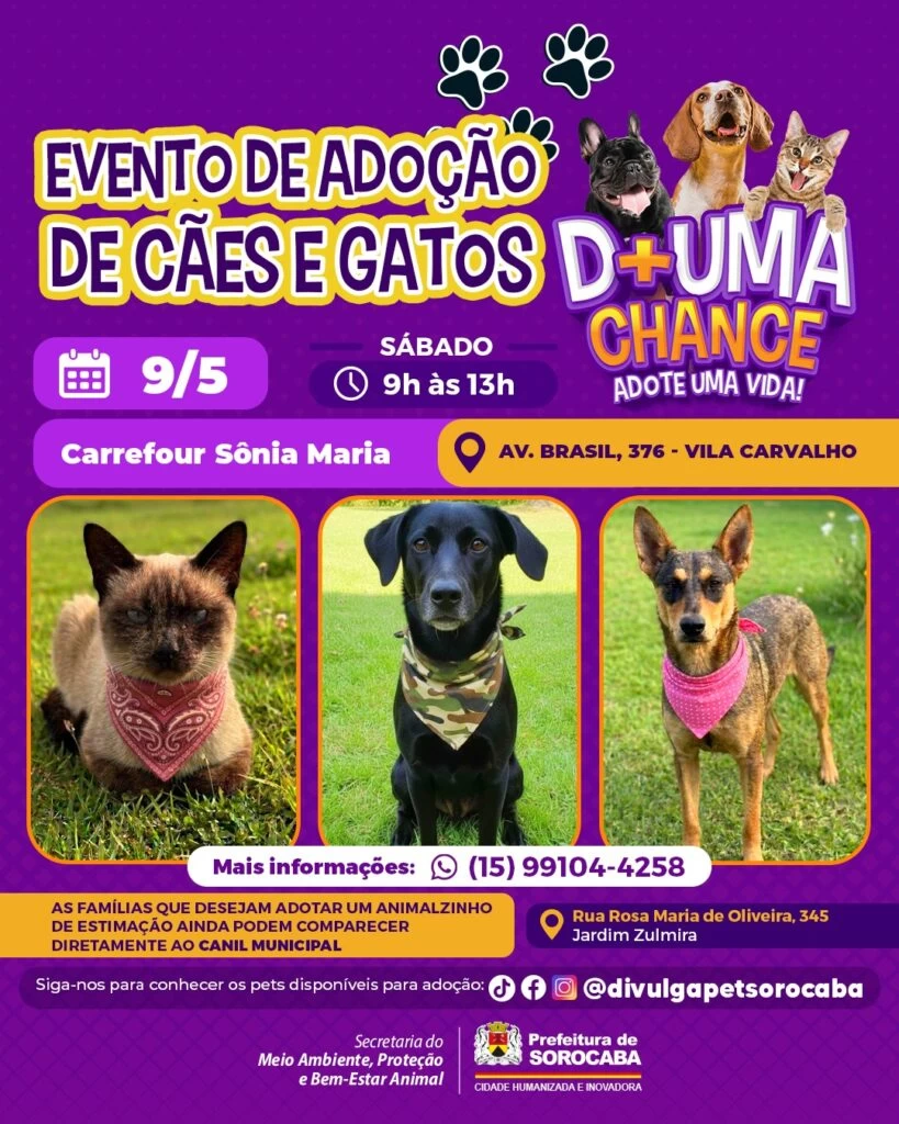 Evento de adoção de cães e gatos do Canil Municipal de Sorocaba estará no Carrefour Sônia Maria neste sábado (9)