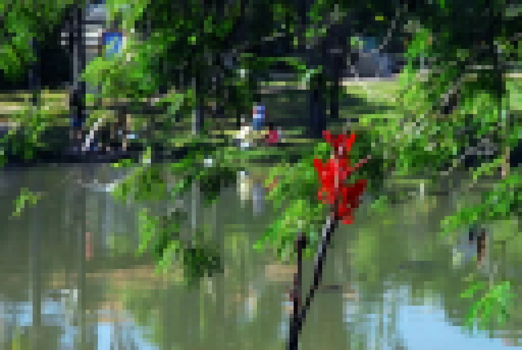 Curso de férias do Parque da Água Vermelha recebe inscrições nesta quarta e quinta-feira (2 e 3)