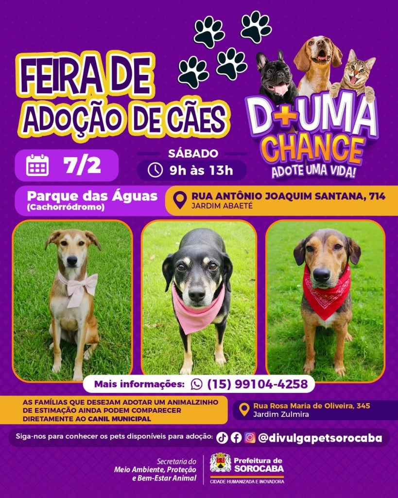 Feira de adoção de cães do Canil Municipal ocorrerá no Parque das Águas neste sábado (07)