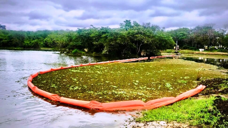 Saae/Sorocaba finaliza limpeza e remoção de plantas aquáticas em lago do Parque Vitória Régia