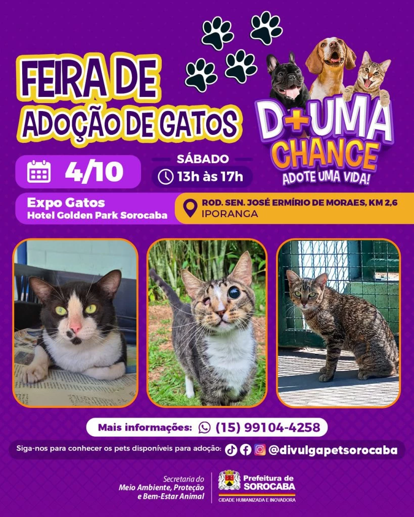 Expo Gatos terá feira de adoção de felinos abrigados pelo Canil Municipal de Sorocaba
