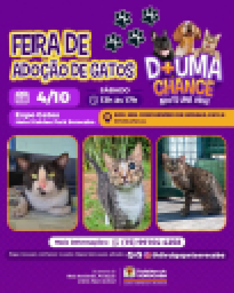 Expo Gatos terá feira de adoção de felinos abrigados pelo Canil Municipal de Sorocaba