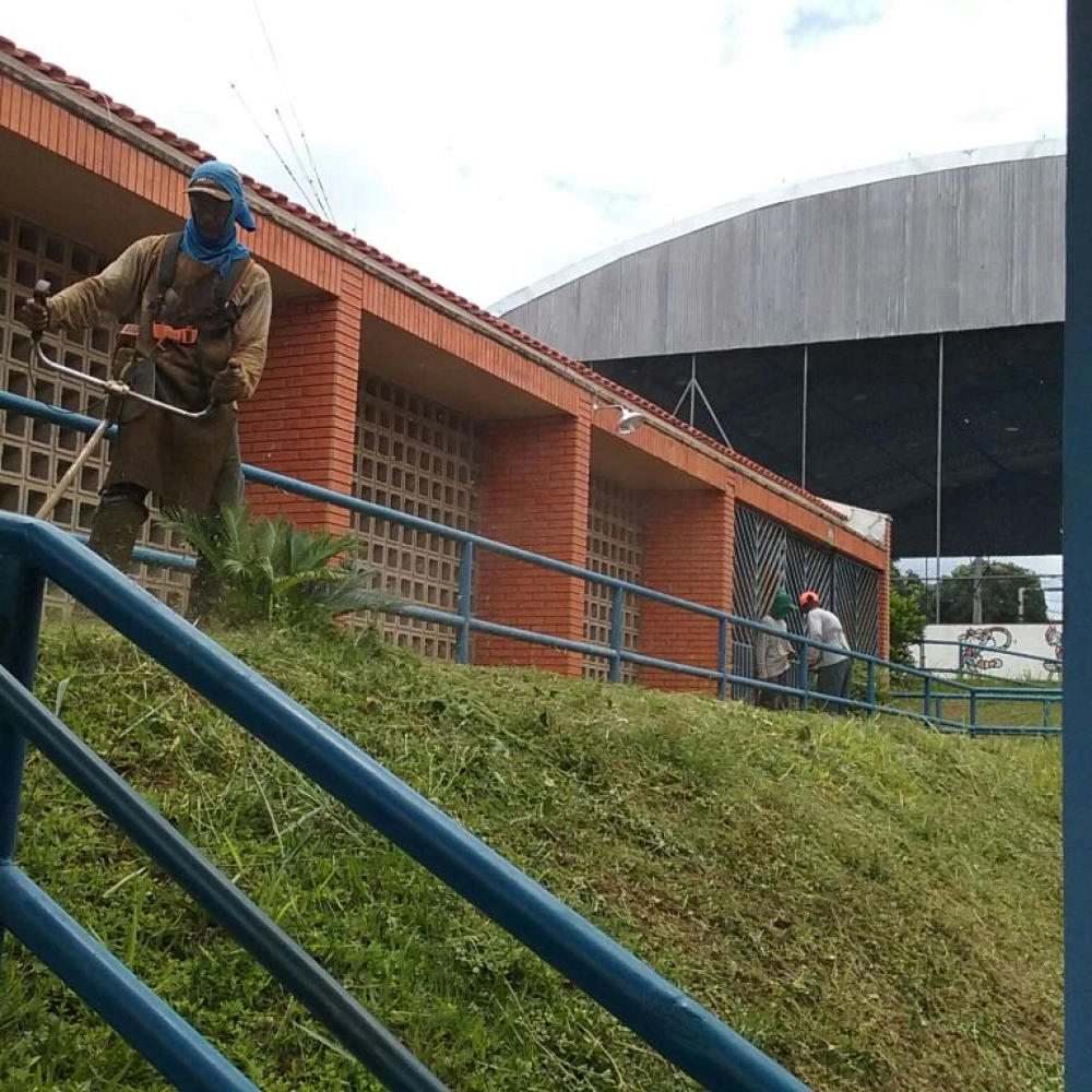 Sema divulga cronograma de manutenção de paisagismo e arborização de junho