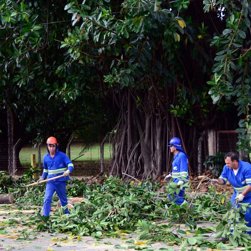 Sema divulga cronograma de manutenção de paisagismo e arborização de novembro