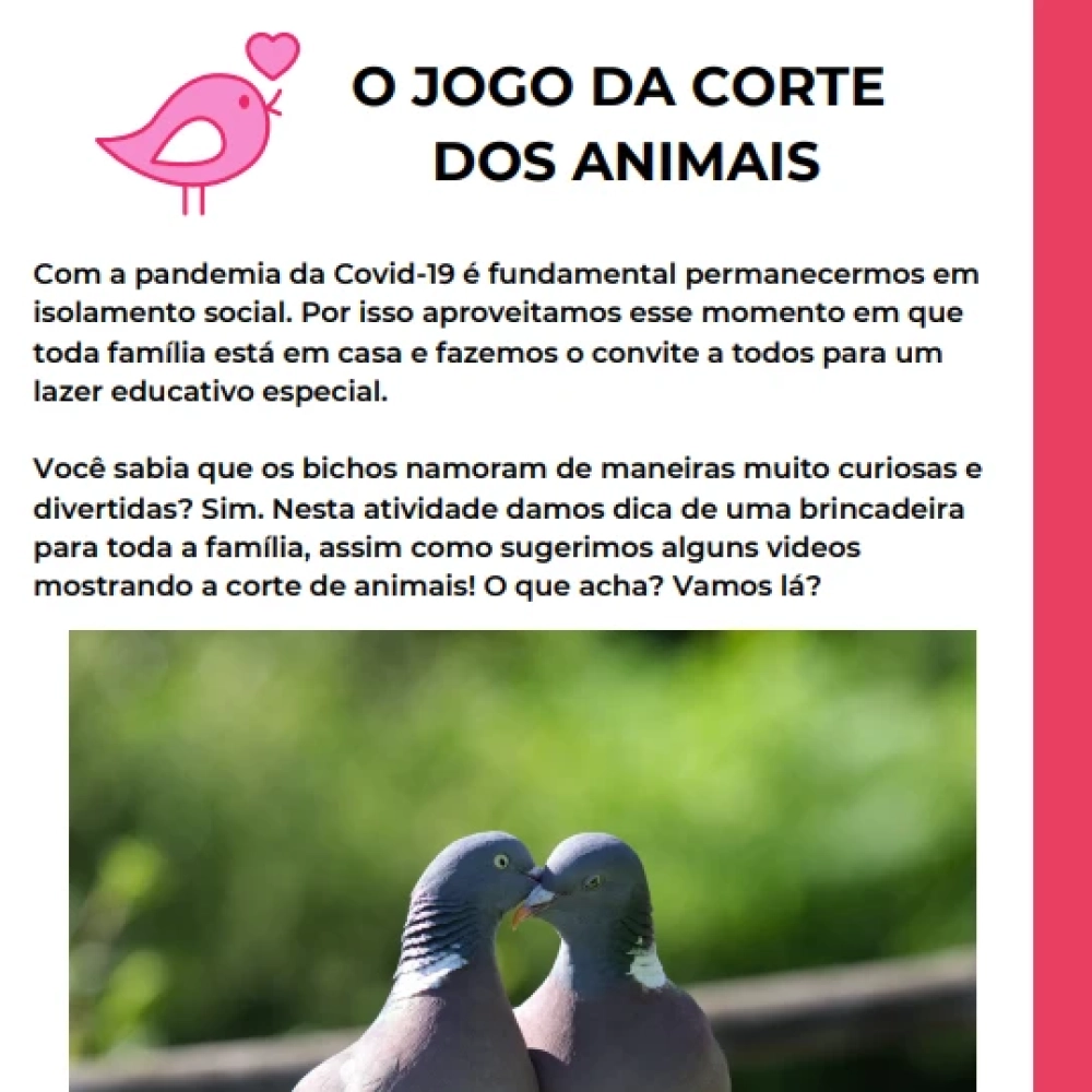 “Sema vai à sua Casa” chega a 16ª edição com o tema “Jogo da Corte dos Animais”
