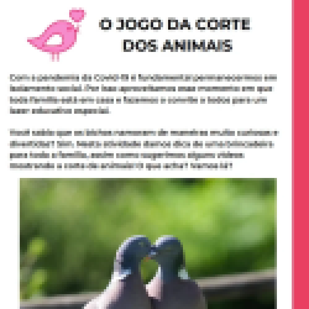 “Sema vai à sua Casa” chega a 16ª edição com o tema “Jogo da Corte dos Animais”