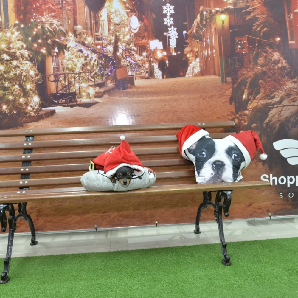 Shopping Cidade Sorocaba cria espaço natalino exclusivo para pets