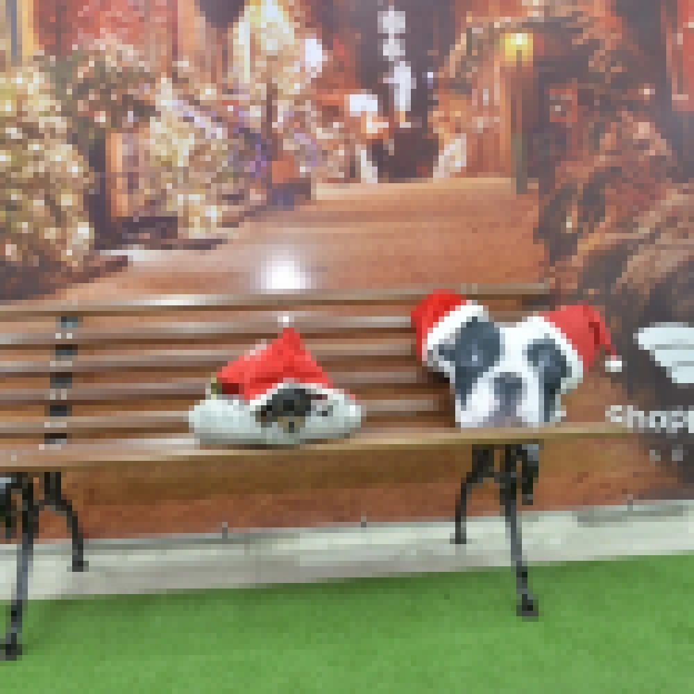 Shopping Cidade Sorocaba cria espaço natalino exclusivo para pets