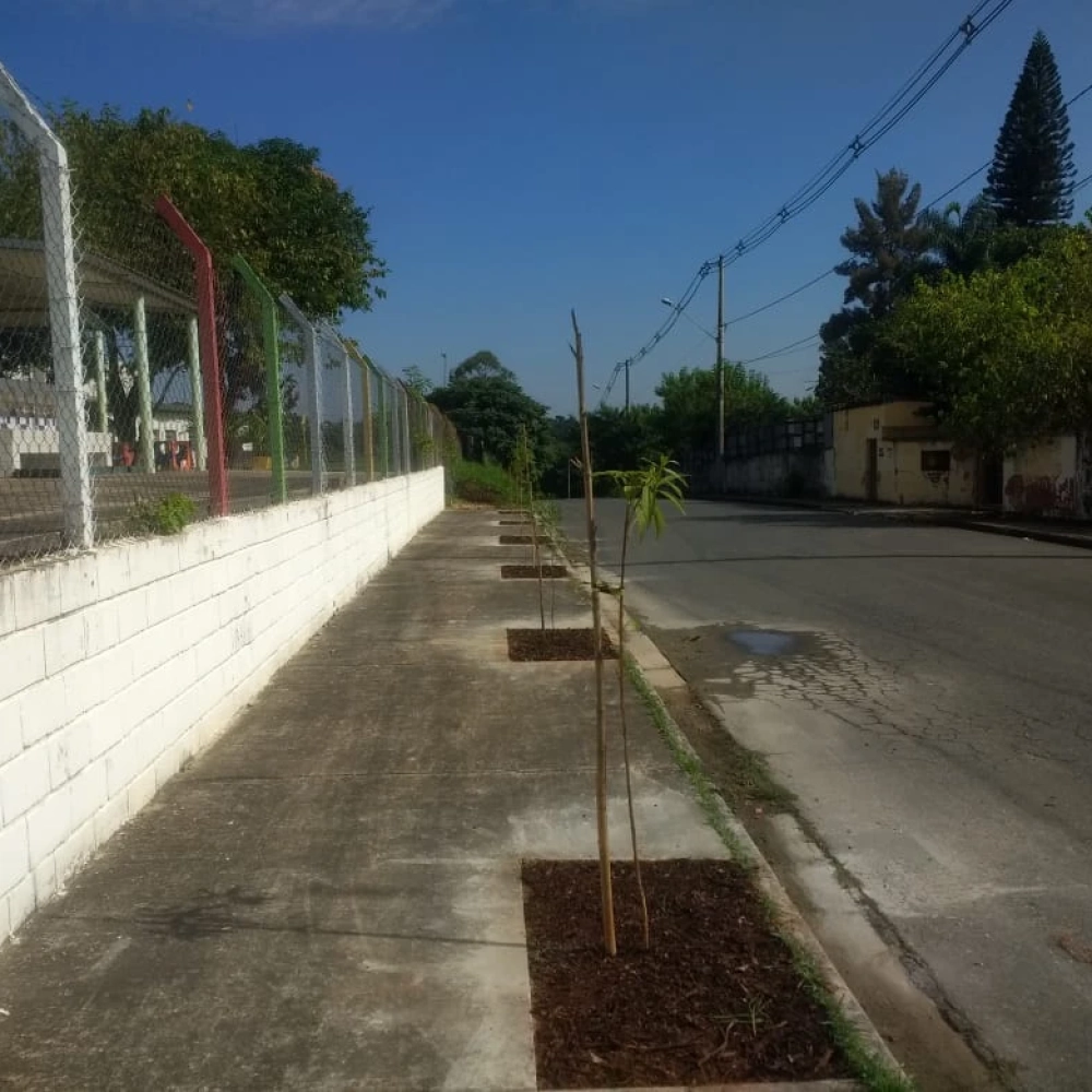 Sorocaba ganhou mais de 1 mil exemplares arbóreos com o Espaço-Árvore