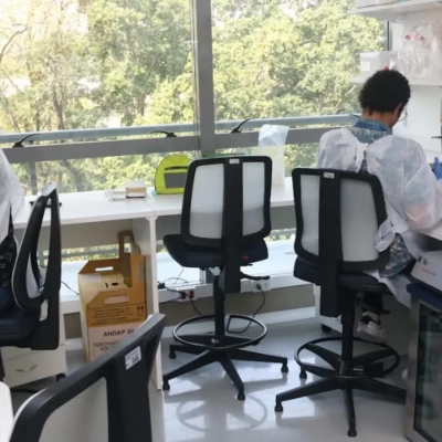 Projeto usa inteligência artificial para identificar áreas de risco de dengue