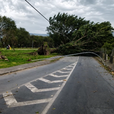 SP: ventania pode atingir 50 km/h no fim de semana