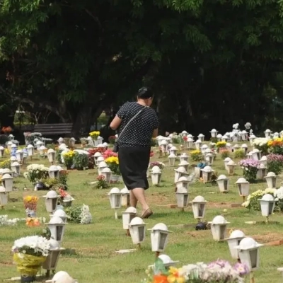 Cães e gatos podem ser sepultados em jazigos familiares em São Paulo
