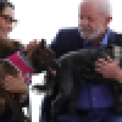 Lula lança programa de identificação e proteção de cães e gatos