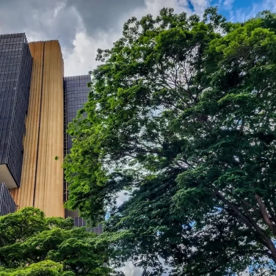 Ferramenta do BC permite bloquear abertura de contas falsas em bancos