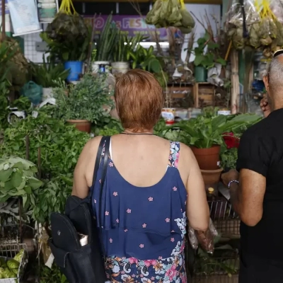 Tradição e fé impulsionam busca por banhos e ervas no fim de ano