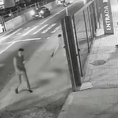 Soldado da PM depõe por ter matado cachorro comunitário em São Paulo