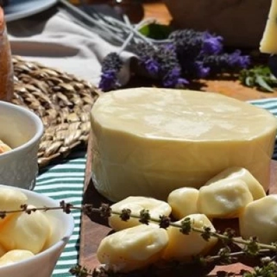 Turismo rural avança com premiação internacional de queijos paulistas