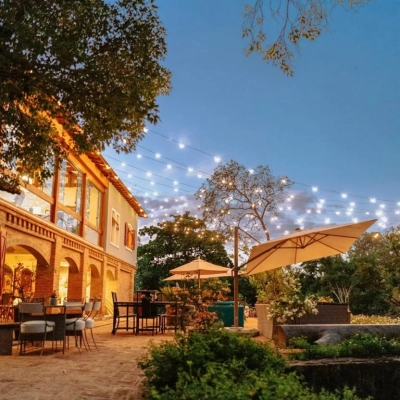 Com Rotas do Vinho de SP, vinícolas registram aumento de visitantes, faturamento e empregos