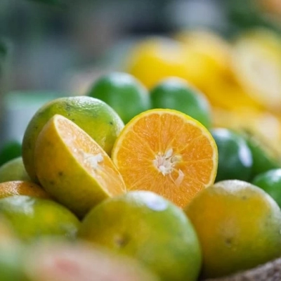 Centro de Citricultura do Governo de SP impulsiona estratégia e inovação do setor