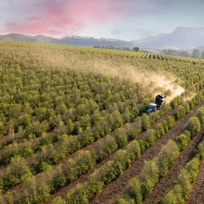Dia mundial do café: São Paulo é destaque com rota turística e novas pesquisas