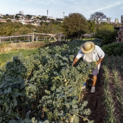SP anuncia chamamento de 37 novos pesquisadores do agro, primeira contratação em 20 anos