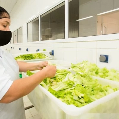 Doenças transmitidas por alimentos estão ligadas a práticas domésticas, mostra estudo