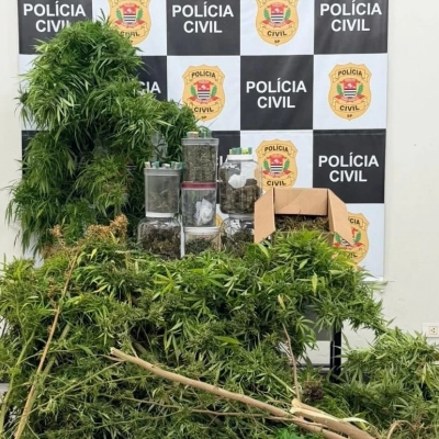 Polícia Civil prende homem por tráfico de drogas e cultivo de maconha em Sorocaba