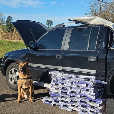 Força Tática e Canil do BAEP apreendem 74 tijolos de maconha na Castelo Branco
